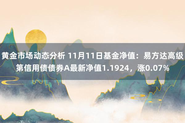 黄金市场动态分析 11月11日基金净值：易方达高级第信用债债券A最新净值1.1924，涨0.07%