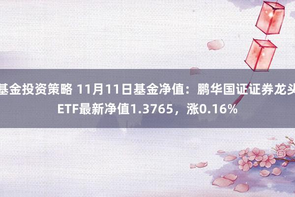 基金投资策略 11月11日基金净值：鹏华国证证券龙头ETF最新净值1.3765，涨0.16%