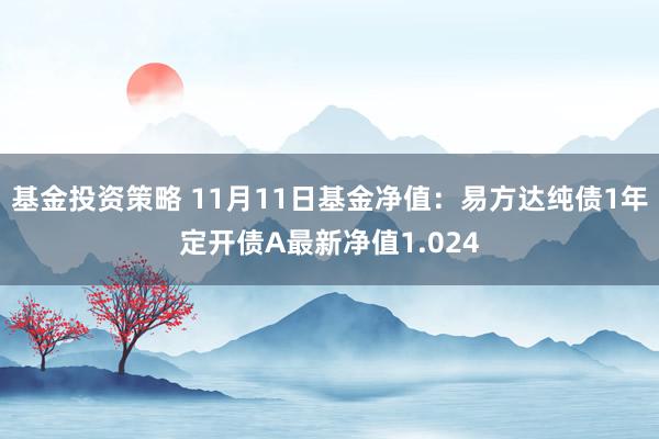 基金投资策略 11月11日基金净值：易方达纯债1年定开债A最新净值1.024