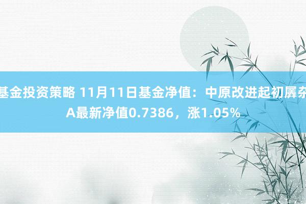 基金投资策略 11月11日基金净值：中原改进起初羼杂A最新净值0.7386，涨1.05%