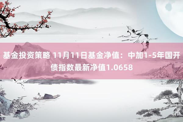 基金投资策略 11月11日基金净值：中加1-5年国开债指数最新净值1.0658