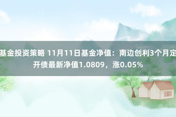 基金投资策略 11月11日基金净值：南边创利3个月定开债最新净值1.0809，涨0.05%