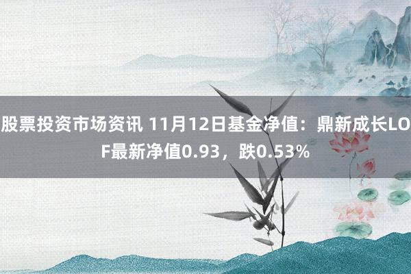 股票投资市场资讯 11月12日基金净值：鼎新成长LOF最新净值0.93，跌0.53%