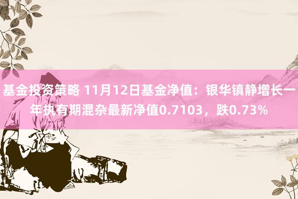 基金投资策略 11月12日基金净值：银华镇静增长一年执有期混杂最新净值0.7103，跌0.73%