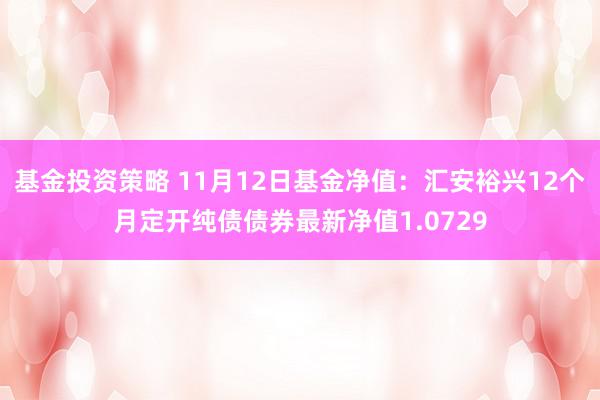 基金投资策略 11月12日基金净值：汇安裕兴12个月定开纯债债券最新净值1.0729