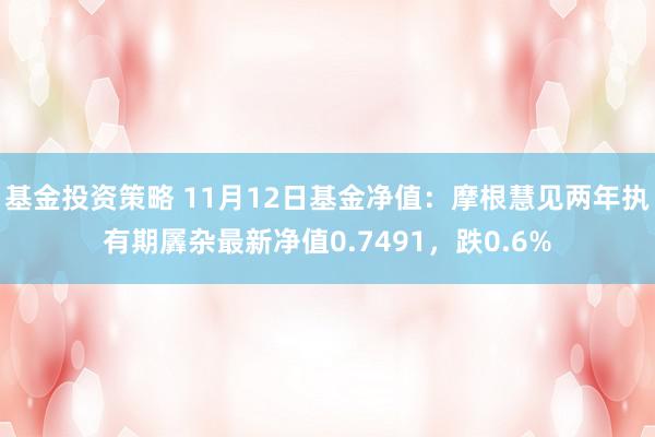 基金投资策略 11月12日基金净值：摩根慧见两年执有期羼杂最新净值0.7491，跌0.6%