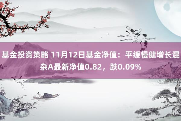 基金投资策略 11月12日基金净值：平缓慢健增长混杂A最新净值0.82，跌0.09%