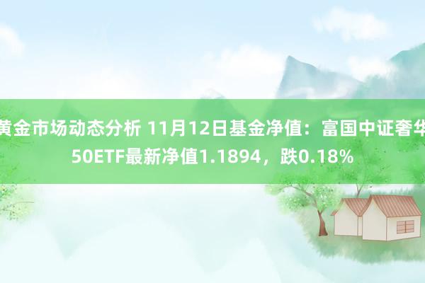 黄金市场动态分析 11月12日基金净值：富国中证奢华50ETF最新净值1.1894，跌0.18%