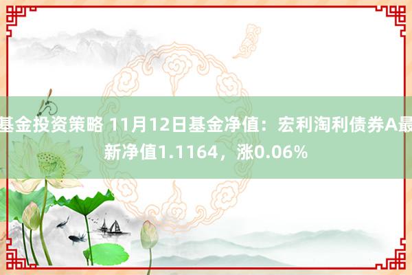 基金投资策略 11月12日基金净值：宏利淘利债券A最新净值1.1164，涨0.06%