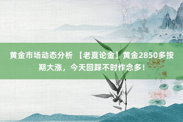 黄金市场动态分析 【老夏论金】黄金2850多按期大涨，今天回踩不时作念多！