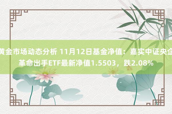 黄金市场动态分析 11月12日基金净值：嘉实中证央企革命出手ETF最新净值1.5503，跌2.08%