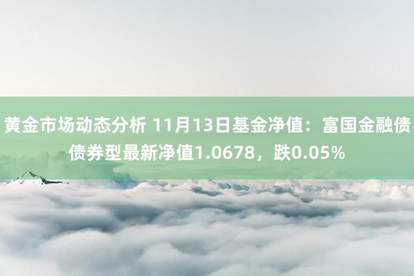 黄金市场动态分析 11月13日基金净值：富国金融债债券型最新净值1.0678，跌0.05%