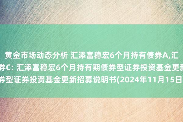 黄金市场动态分析 汇添富稳宏6个月持有债券A,汇添富稳宏6个月持有债券C: 汇添富稳宏6个月持有期债券型证券投资基金更新招募说明书(2024年11月15日更新)