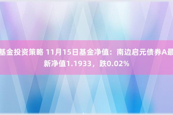 基金投资策略 11月15日基金净值：南边启元债券A最新净值1.1933，跌0.02%