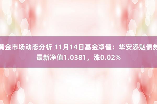 黄金市场动态分析 11月14日基金净值：华安添魁债券最新净值1.0381，涨0.02%