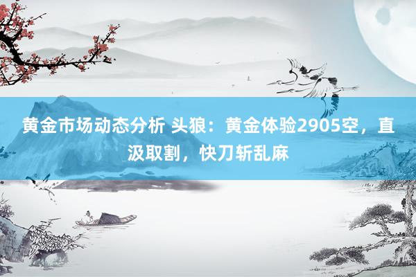 黄金市场动态分析 头狼：黄金体验2905空，直汲取割，快刀斩乱麻