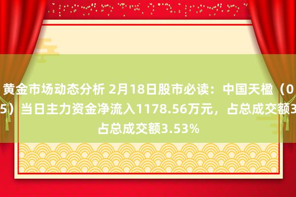 黄金市场动态分析 2月18日股市必读：中国天楹（000035）当日主力资金净流入1178.56万元，占总成交额3.53%