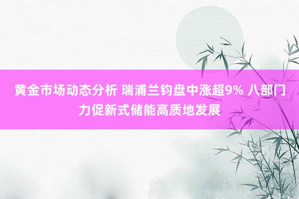 黄金市场动态分析 瑞浦兰钧盘中涨超9% 八部门力促新式储能高质地发展