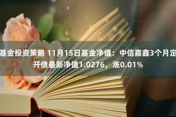 基金投资策略 11月15日基金净值：中信嘉鑫3个月定开债最新净值1.0276，涨0.01%