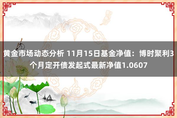 黄金市场动态分析 11月15日基金净值：博时聚利3个月定开债发起式最新净值1.0607