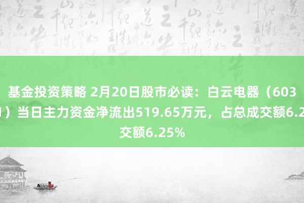 基金投资策略 2月20日股市必读：白云电器（603861）当日主力资金净流出519.65万元，占总成交额6.25%