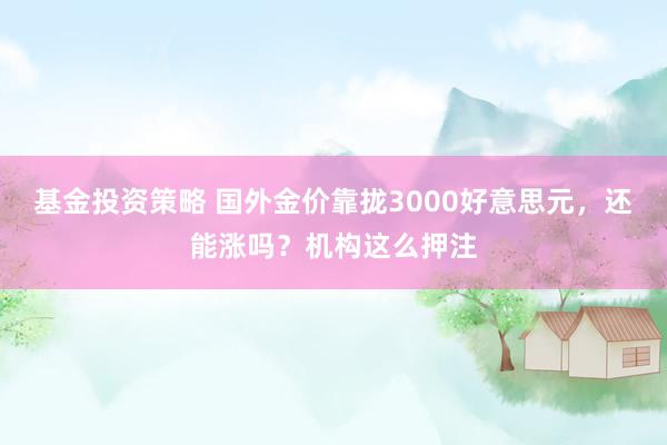 基金投资策略 国外金价靠拢3000好意思元，还能涨吗？机构这么押注