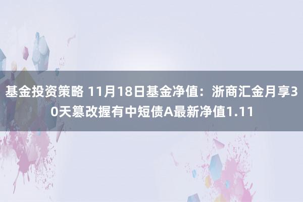 基金投资策略 11月18日基金净值：浙商汇金月享30天篡改握有中短债A最新净值1.11