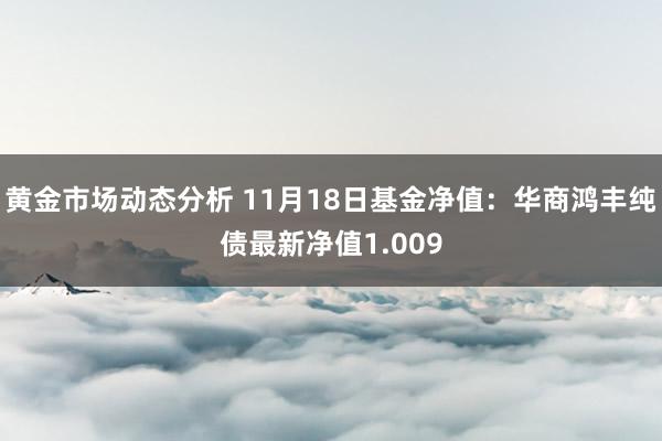 黄金市场动态分析 11月18日基金净值：华商鸿丰纯债最新净值1.009