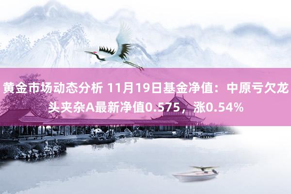 黄金市场动态分析 11月19日基金净值：中原亏欠龙头夹杂A最新净值0.575，涨0.54%