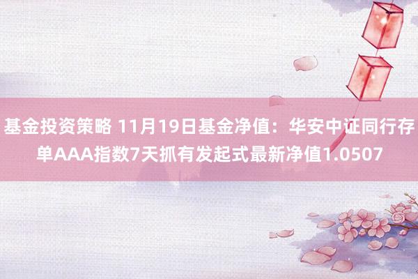 基金投资策略 11月19日基金净值：华安中证同行存单AAA指数7天抓有发起式最新净值1.0507