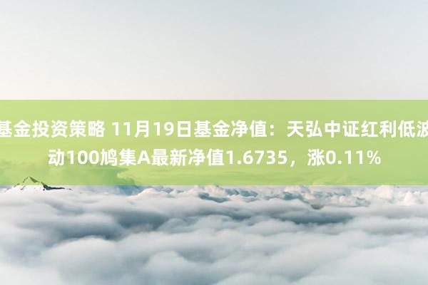 基金投资策略 11月19日基金净值：天弘中证红利低波动100鸠集A最新净值1.6735，涨0.11%