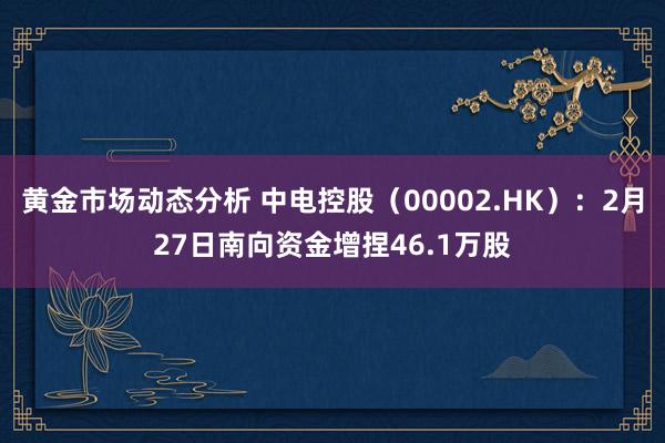 黄金市场动态分析 中电控股（00002.HK）：2月27日南向资金增捏46.1万股