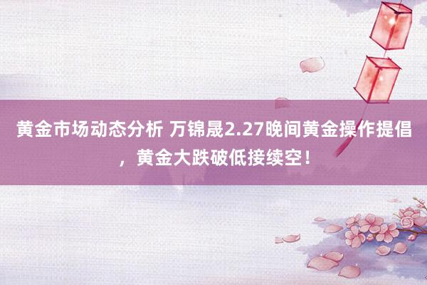 黄金市场动态分析 万锦晟2.27晚间黄金操作提倡，黄金大跌破低接续空！