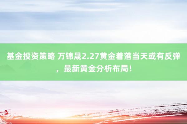 基金投资策略 万锦晟2.27黄金着落当天或有反弹，最新黄金分析布局！