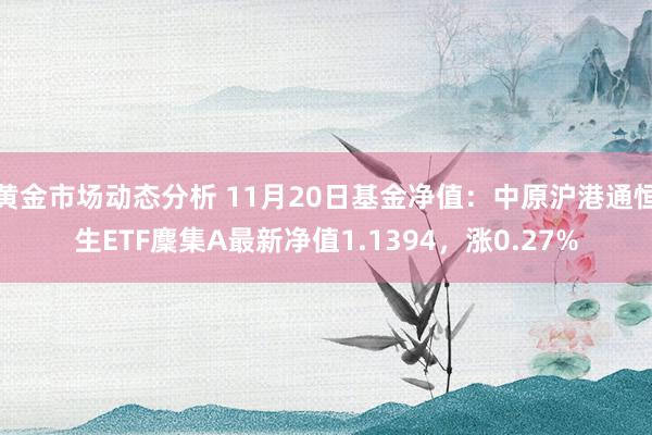 黄金市场动态分析 11月20日基金净值：中原沪港通恒生ETF麇集A最新净值1.1394，涨0.27%