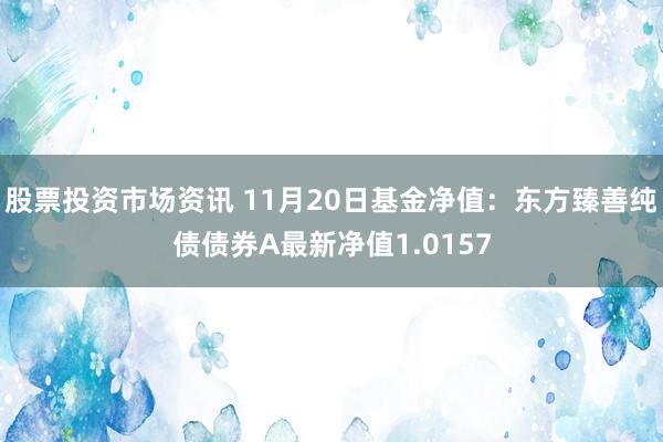 股票投资市场资讯 11月20日基金净值：东方臻善纯债债券A最新净值1.0157