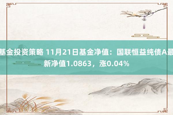 基金投资策略 11月21日基金净值：国联恒益纯债A最新净值1.0863，涨0.04%