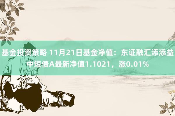 基金投资策略 11月21日基金净值：东证融汇添添益中短债A最新净值1.1021，涨0.01%