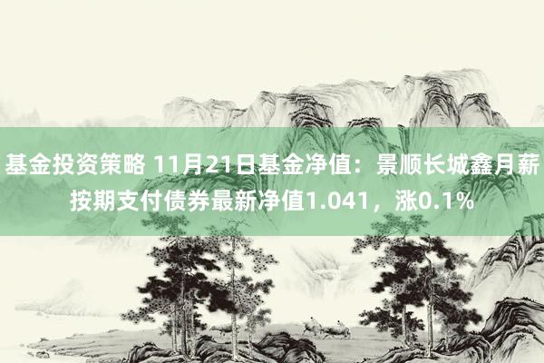 基金投资策略 11月21日基金净值：景顺长城鑫月薪按期支付债券最新净值1.041，涨0.1%