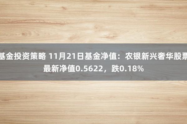 基金投资策略 11月21日基金净值：农银新兴奢华股票最新净值0.5622，跌0.18%