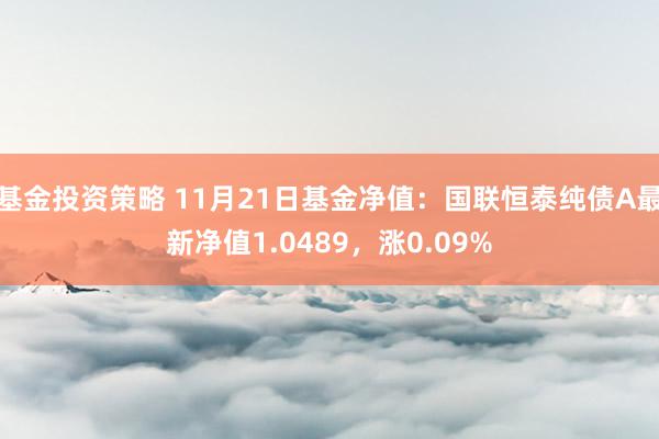 基金投资策略 11月21日基金净值：国联恒泰纯债A最新净值1.0489，涨0.09%