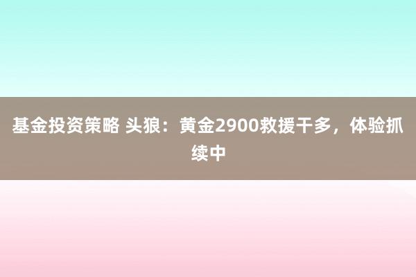 基金投资策略 头狼：黄金2900救援干多，体验抓续中