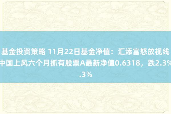 基金投资策略 11月22日基金净值：汇添富怒放视线中国上风六个月抓有股票A最新净值0.6318，跌2.3%