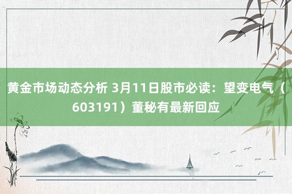 黄金市场动态分析 3月11日股市必读：望变电气（603191）董秘有最新回应