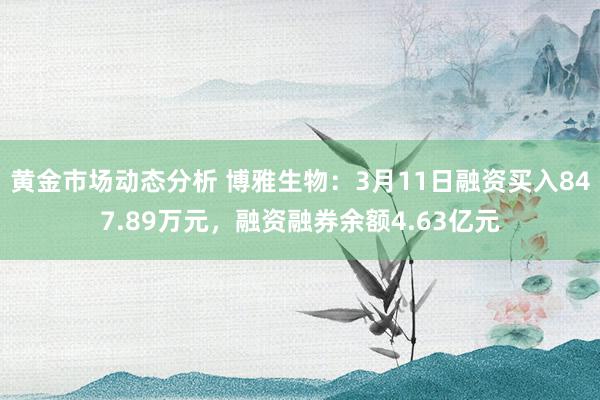 黄金市场动态分析 博雅生物：3月11日融资买入847.89万元，融资融券余额4.63亿元