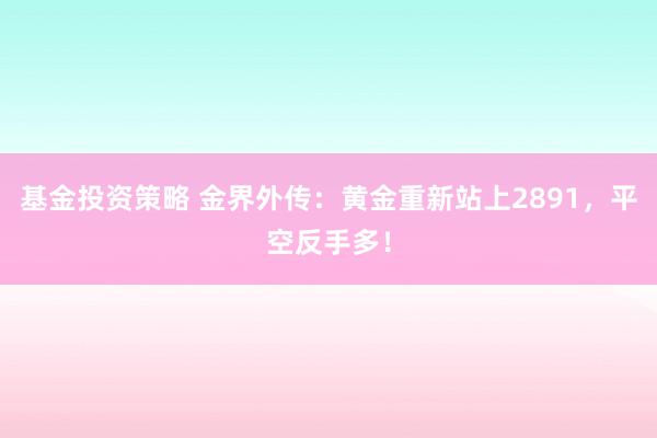 基金投资策略 金界外传：黄金重新站上2891，平空反手多！