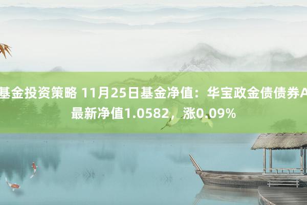 基金投资策略 11月25日基金净值：华宝政金债债券A最新净值1.0582，涨0.09%