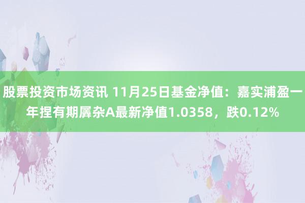 股票投资市场资讯 11月25日基金净值：嘉实浦盈一年捏有期羼杂A最新净值1.0358，跌0.12%