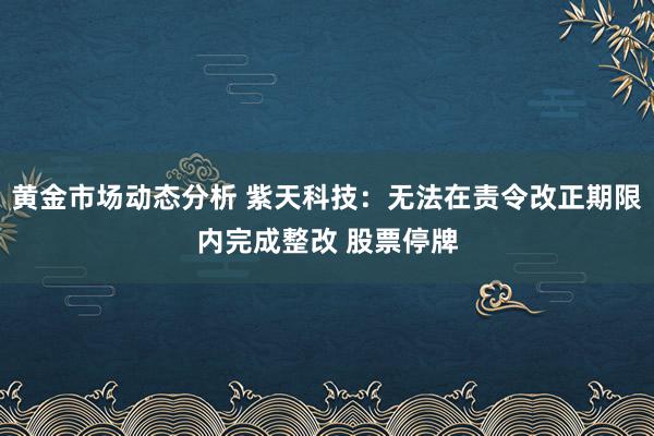 黄金市场动态分析 紫天科技：无法在责令改正期限内完成整改 股票停牌