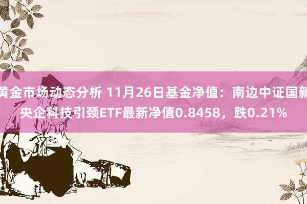 黄金市场动态分析 11月26日基金净值：南边中证国新央企科技引颈ETF最新净值0.8458，跌0.21%